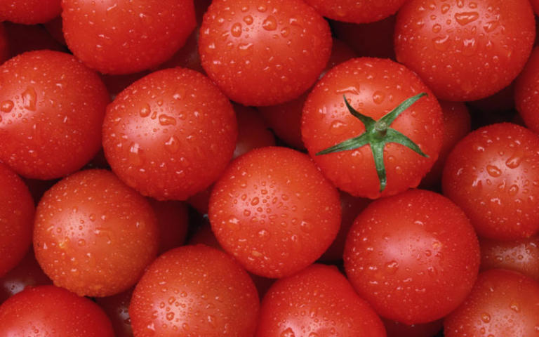 pomidoryi1-768x480.jpg